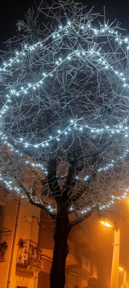 El fred, la boira i la neu... l'hivern ja és aquí!