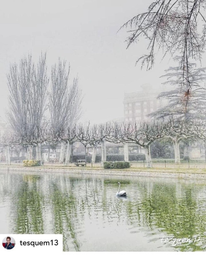El fred, la boira i la neu... l'hivern ja és aquí!
