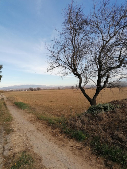El fred, la boira i la neu... l'hivern ja és aquí!