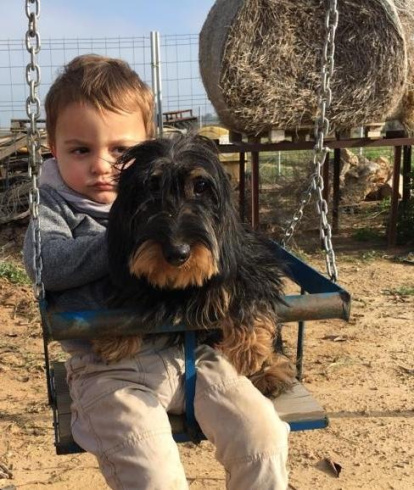 Gossos, gats, canaris, conills,...presenta'ns a la teva mascota!