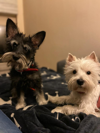 CARMEN RODRIGUEZ GARCIA