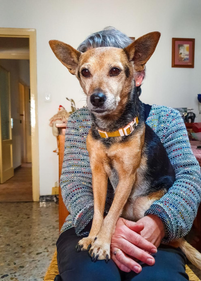 Gossos, gats, canaris, conills,...presenta'ns a la teva mascota!