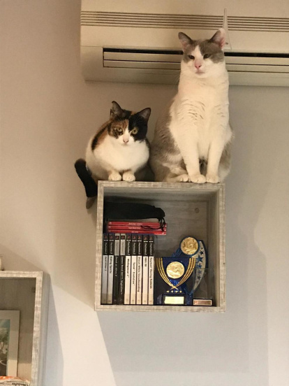 Gossos, gats, canaris, conills,...presenta'ns a la teva mascota!