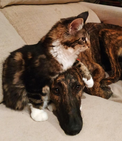 Lourdes Cordero Nuñez