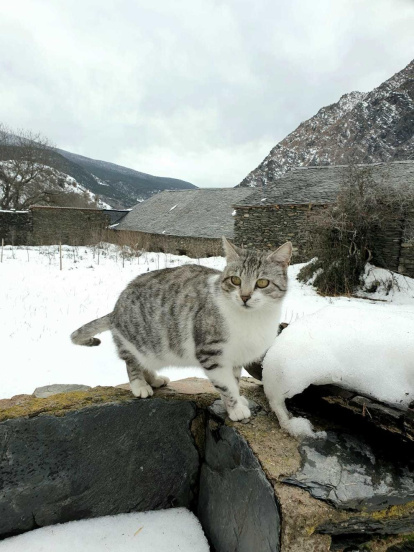 Marifà Hereu Lozano