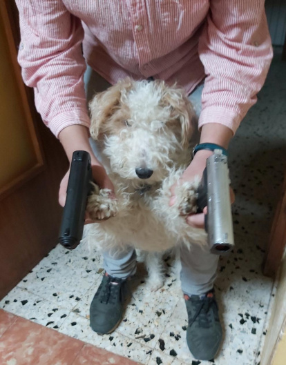 Gossos, gats, canaris, conills,...presenta'ns a la teva mascota!