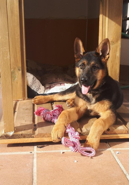 Alba Saló Rodríguez