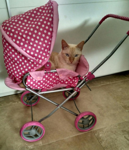 Susana Borras Espach