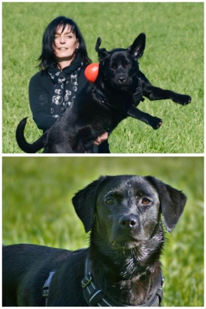 Gossos, gats, canaris, conills,...presenta'ns a la teva mascota!