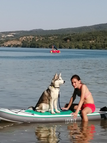 Gossos, gats, canaris, conills,...presenta'ns a la teva mascota!