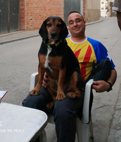 Ingrid Mayoral Serret