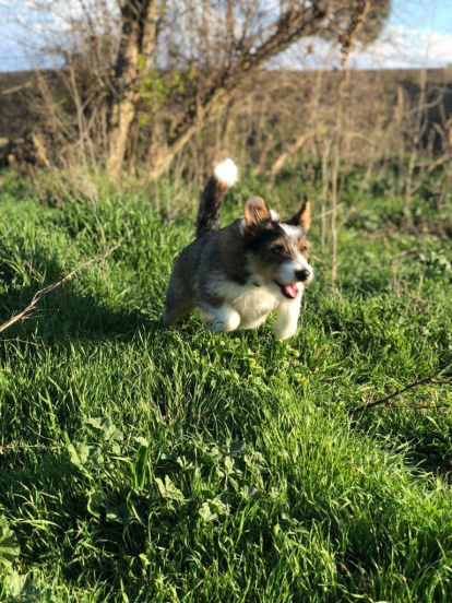 José Vicente Sánchez  Jiménez