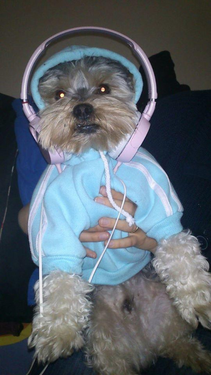 Ricardo Campos Pérez