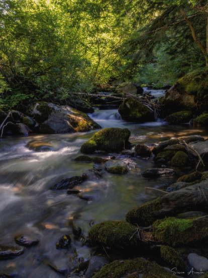 Francisco Acosta Andrés