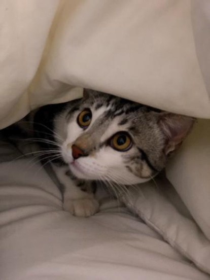 Paula Mallada Farreny