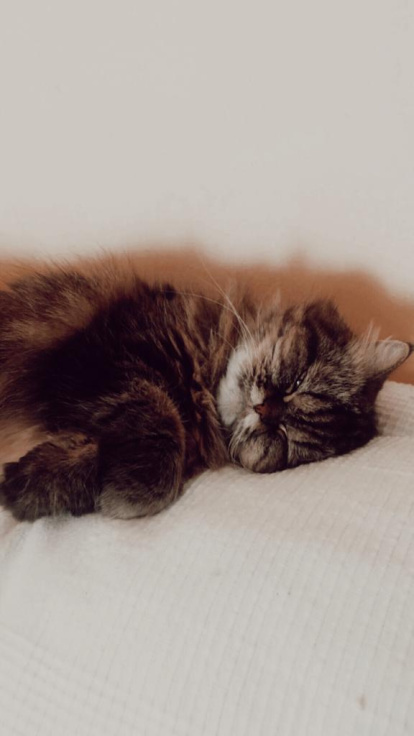 Paula Mallada Farreny