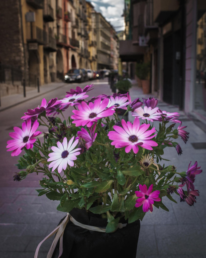 ¡Seguimos recibiendo fotos de árboles en flor, campos verdes y buen tiempo...ya está aquí la primavera!