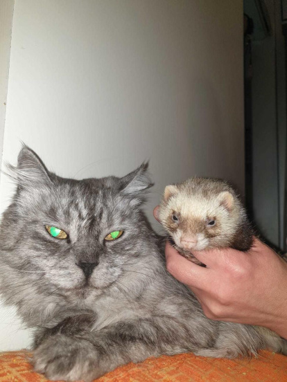 José Luis García García