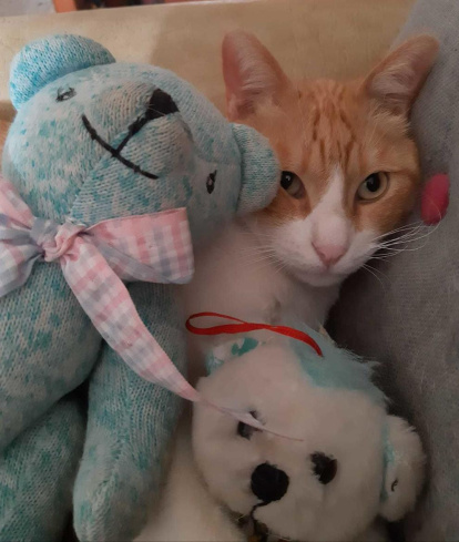 Gossos, gats, canaris, conills,...presenta'ns a la teva mascota!