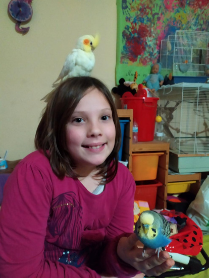 Gossos, gats, canaris, conills,...presenta'ns a la teva mascota!