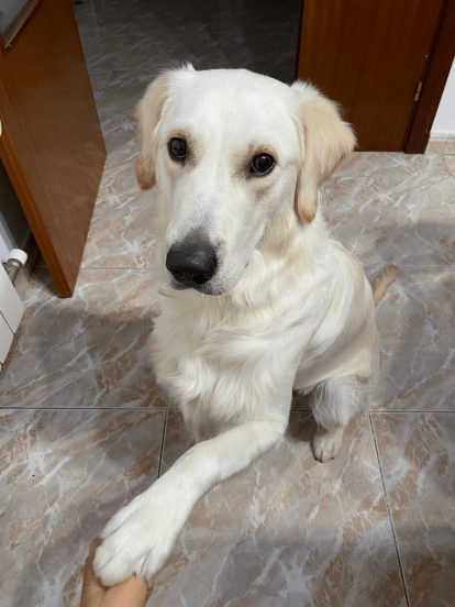 Xavi Martinez Casquero