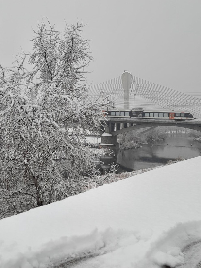 El frío, la niebla y la nieve... ¡el invierno ya está aquí!