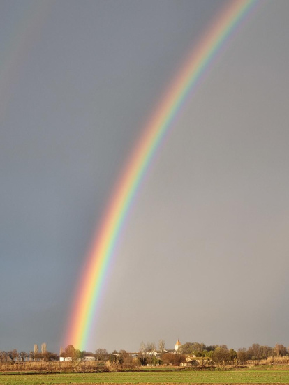 Arbres florits, camps verds i bon temps...ja és aquí la primavera!