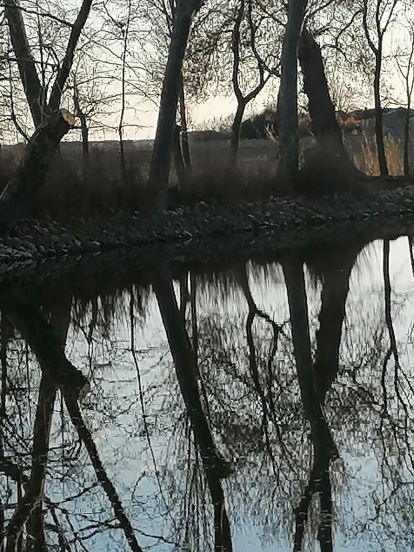 Arbres florits, camps verds i bon temps...ja és aquí la primavera!