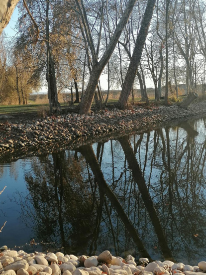 Arbres florits, camps verds i bon temps...ja és aquí la primavera!