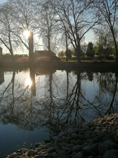 Arbres florits, camps verds i bon temps...ja és aquí la primavera!