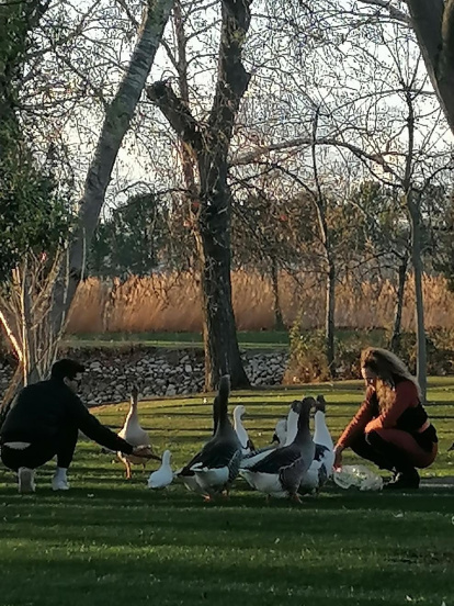 Arbres florits, camps verds i bon temps...ja és aquí la primavera!