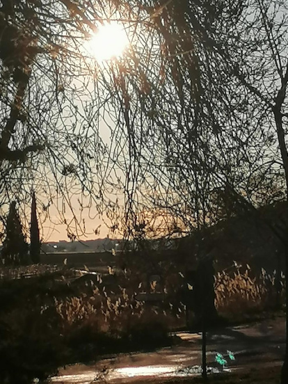 Arbres florits, camps verds i bon temps...ja és aquí la primavera!