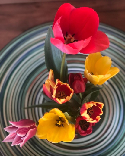 Arbres florits, camps verds i bon temps...ja és aquí la primavera!