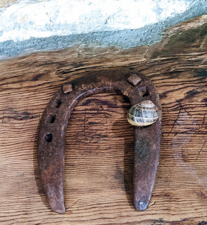 Arbres florits, camps verds i bon temps...ja és aquí la primavera!