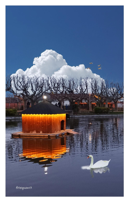 Arbres florits, camps verds i bon temps...ja és aquí la primavera!