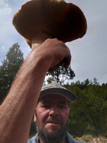 Ceps, rovellons, fredolics...envia'ns fotos de la teua excursió al bosc