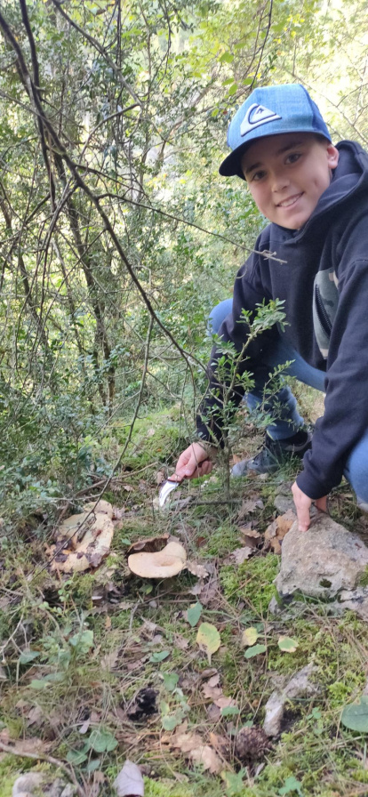 Ceps, rovellons, fredolics...envia'ns fotos de la teua excursió al bosc