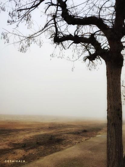 El frío, la niebla y la nieve... ¡el invierno ya está aquí!