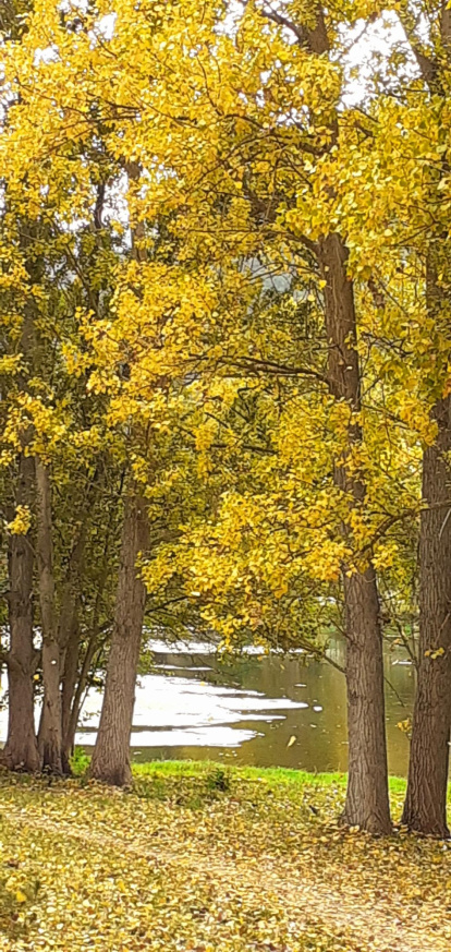 La boira, les fulles seques, els seus fruits... la tardor és una estació molt fotogènica.