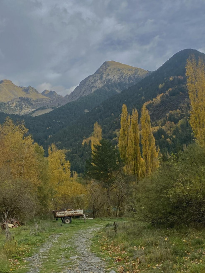 La boira, les fulles seques, els seus fruits... la tardor és una estació molt fotogènica.