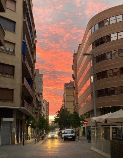 La boira, les fulles seques, els seus fruits... la tardor és una estació molt fotogènica.