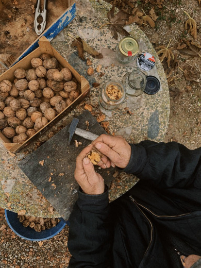La boira, les fulles seques, els seus fruits... la tardor és una estació molt fotogènica.