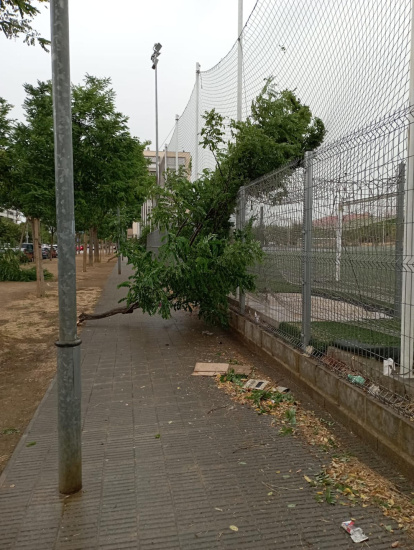 Martes 22 de junio de 2022