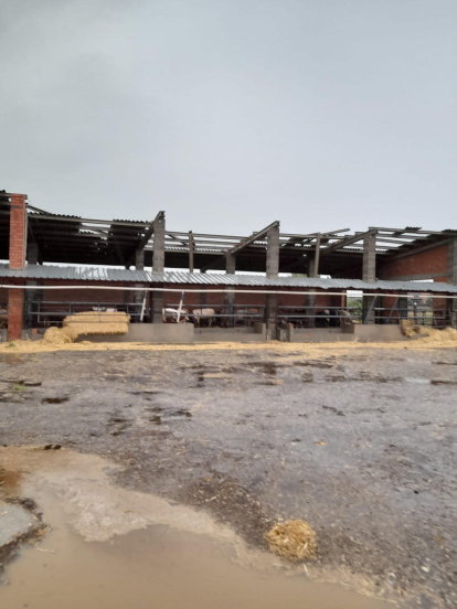 Martes 22 de junio de 2022