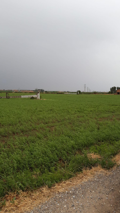 Martes 22 de junio de 2022