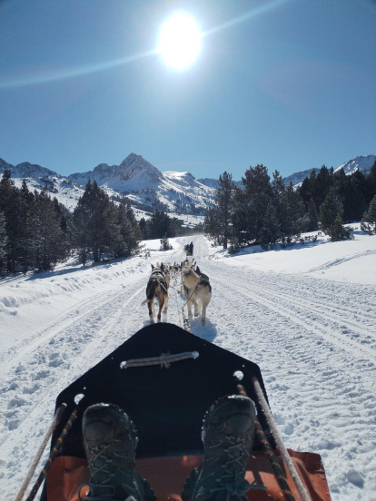 El fred, la boira i la neu... l'hivern ja està aquí!
