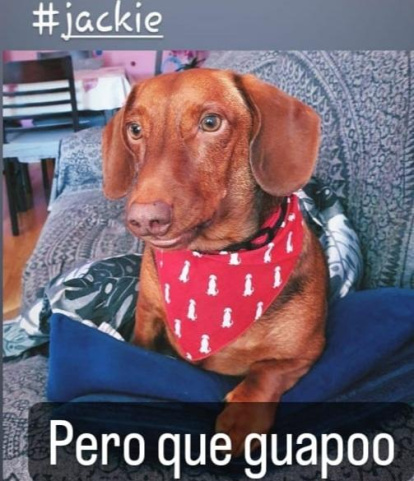 jose luis