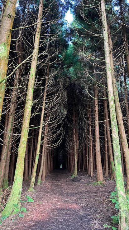 16a edició del concurs de fotos de vacances d'estiu