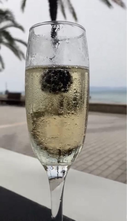 16a edició del concurs de fotos de vacances d'estiu