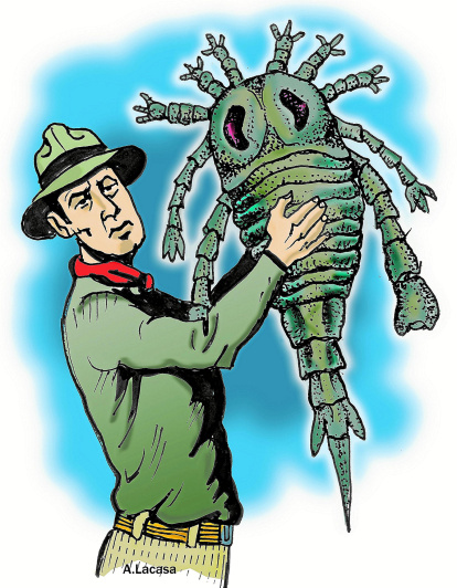 Carcinosoma. De més de 30 cm de longitud. Va viure fa 400 milions d’anys.